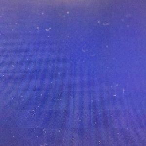 Meet your Posher, Marcella